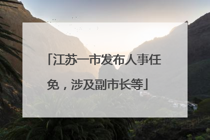 江苏一市发布人事任免，涉及副市长等